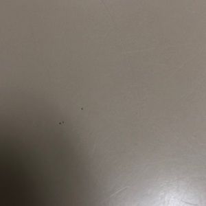 Meet your Posher, Whitney